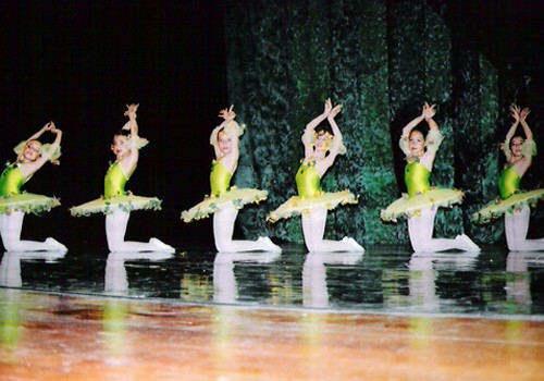Don Quixote (Don Kişot) 2004